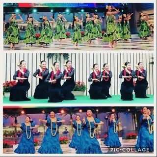 大泉学園駅前Hula Studio Mikaフラ無料体験レッスン♪の画像