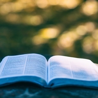 封印が解かれた速読法-Brain Boost-の画像