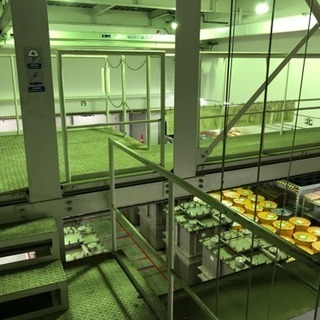 現場作業員募集の画像