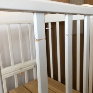 ベビーベットの画像