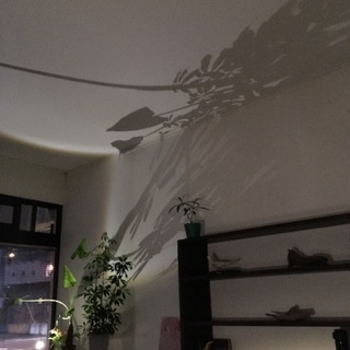 健康のDIY講座vol.1