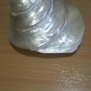 貝の置物