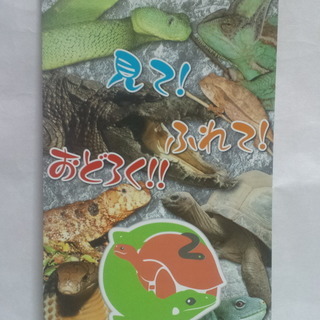 伊豆半島にお出かけの方へ。No.1