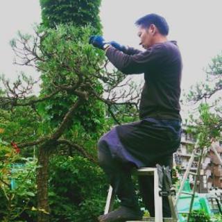造園・植木屋  ☆アルバイト・社員募集☆の画像