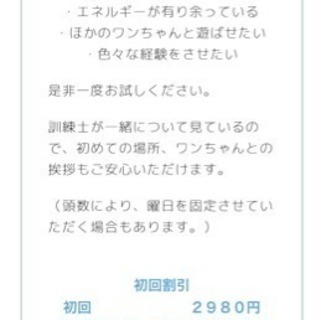 和田ドッグスクールの画像
