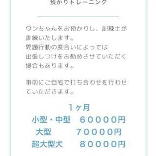 和田ドッグスクールの画像