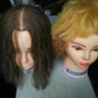 美容師練習用ウィッグ