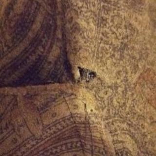 冬用コートの画像