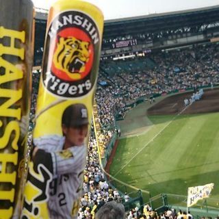 会うとか今はなしで…