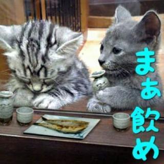 遊び友さがしてます☆