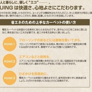 ホットカーペットの画像