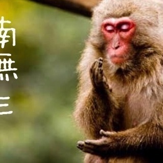 読書情報交換（＾ω＾）