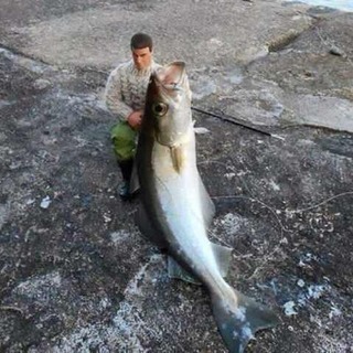 釣り友達募集中です。