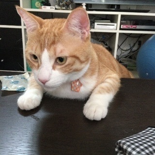 子供の居ないお友達が欲しいです