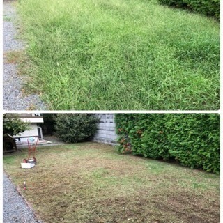 草刈り、草引き（草抜き）にお困りでないですか？