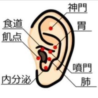 名古屋の耳つぼスクール資格取得!!認定証発行可!!