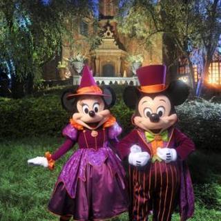 【アラフォー女性限定】ディズニー友達募集 - 友達
