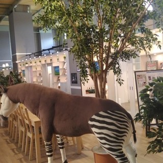 タティングレース教室の画像