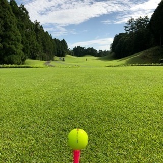 日/祝 GOLF仲間募集