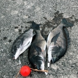 釣り仲間