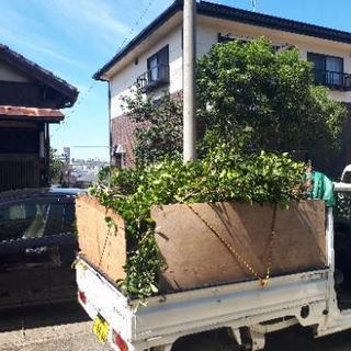 木の伐採、剪定、草刈