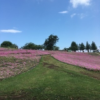 ヘルパー募集 【資格取得サポート】リタイアした方主婦(夫)歓迎の画像