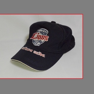 西武ライオンズのユニフォームセットの画像