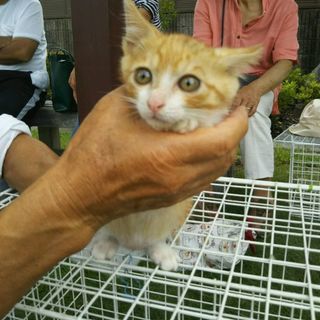 里親様決まりました‼️の画像