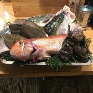 佐渡島のお魚 第二弾！