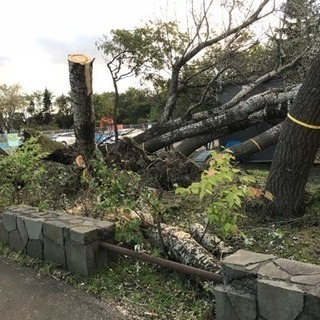 一緒に楽しく働きませんか‼️日払い、週払い可能！【軽作業員 女性...
