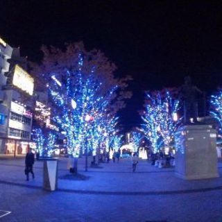 旅行参加者の募集です！