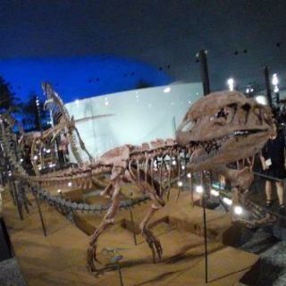 旅行参加者の募集です！ − 千葉県