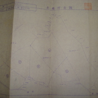 一坪150円の山林　