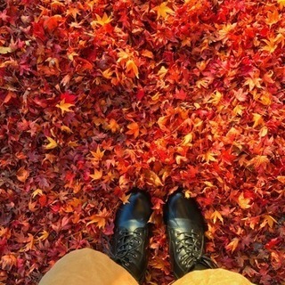 10月27日に京都嵐山紅葉巡りしませんか？ - 京都市