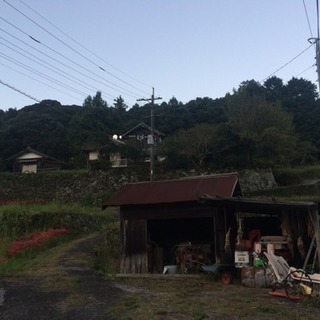 国東市  移住用物件 古民家 築120年 リフォーム予定 - 不動産