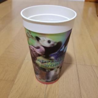 カップ‼️南紀白浜アドベンチャーワールド　プラスチック