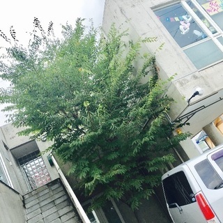 教室貸します。