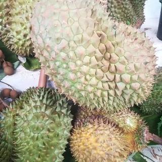 サワディーカァ😊タイ語の画像