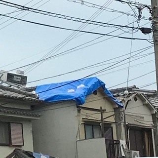 泉州エリアで台風被害でお困りの方！家、引き取ります！