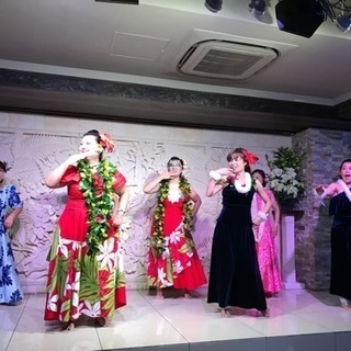 Kaupili Hula Studio メンバー募集    初心...