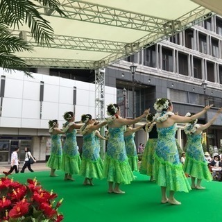 Kaupili Hula Studio メンバー募集    初心者、経験者、ブランクのある方、フラダンスの画像