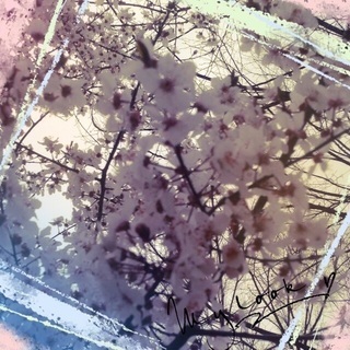 体験授業開催!!  10月6日(土)開催!!小学1～3年から中学受験対策塾！の画像