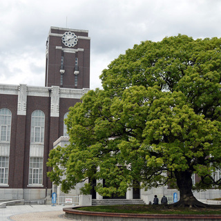 いっしょに京都大学の学祭いきませんか？