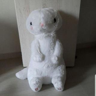 ぬいぐるみの画像