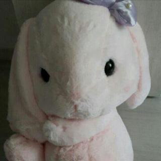ぬいぐるみの画像