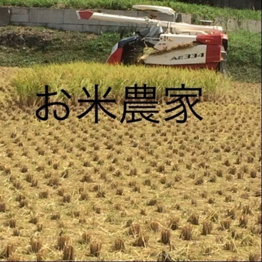 楽天市場】令和6年度産米 特別栽培米（減農薬・減化学肥料