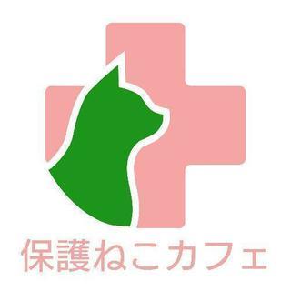 殺処分される猫・犬を保護したい✨
