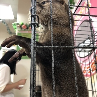動物好きですか？一緒に触れ合いショップ行きましょう