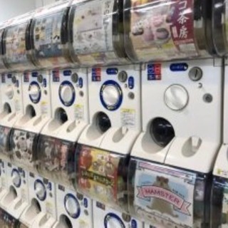 ガチャガチャ 設置場所募集‼︎‼︎の画像
