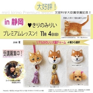 11月4日🍁秋の羊毛フェルト『リアルかわいい犬猫チャームつくり 』in静岡の画像